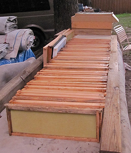 Bee hive frames on table