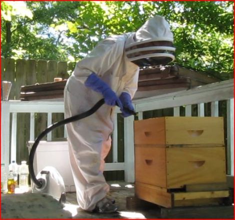 Photo of beekeeper using a small hive beetle sweeper